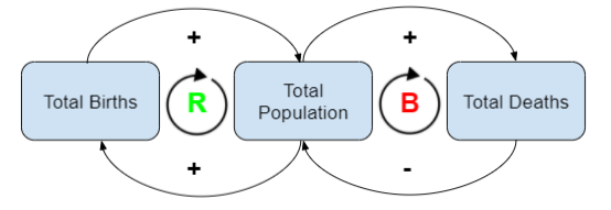 Causal Loop Diagram